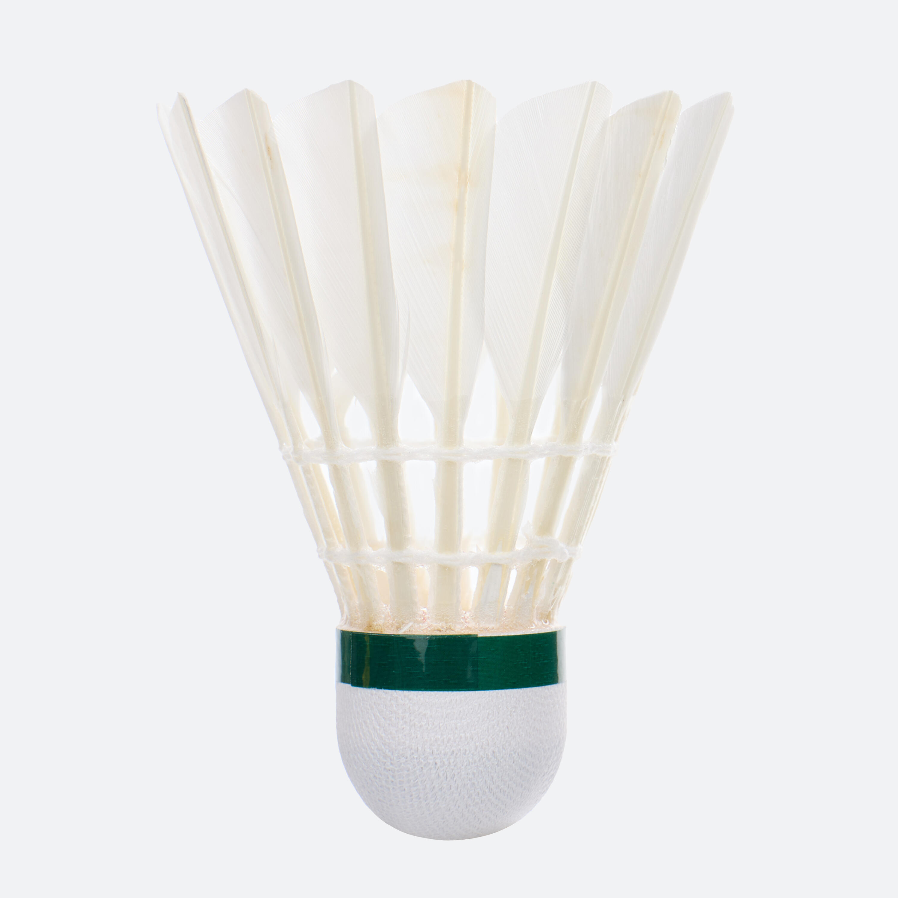 Lot de 12 volants de badminton plumes FSC 100 12/14