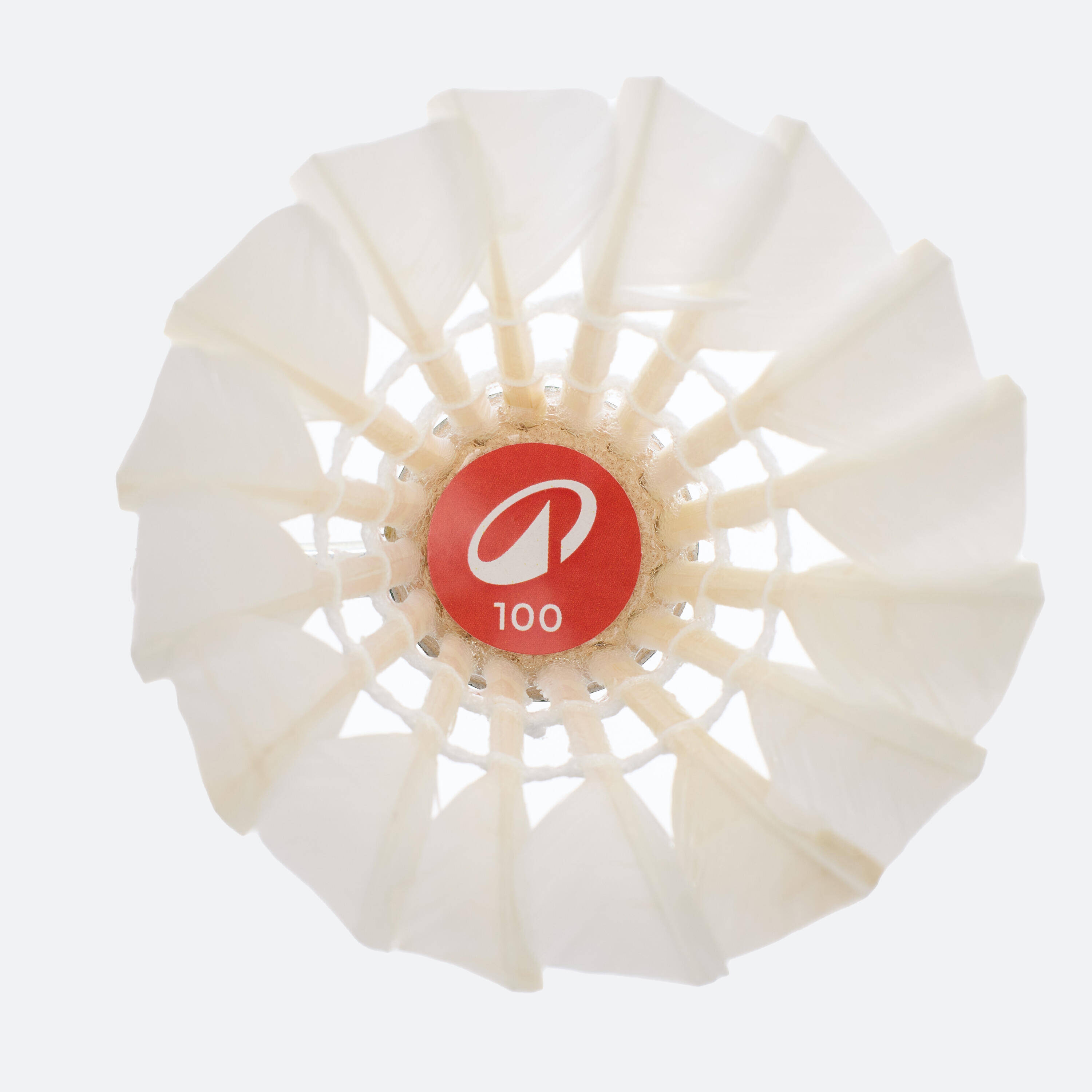 FEATHER SHUTTLECOCK FSC 100  x 12 -  3