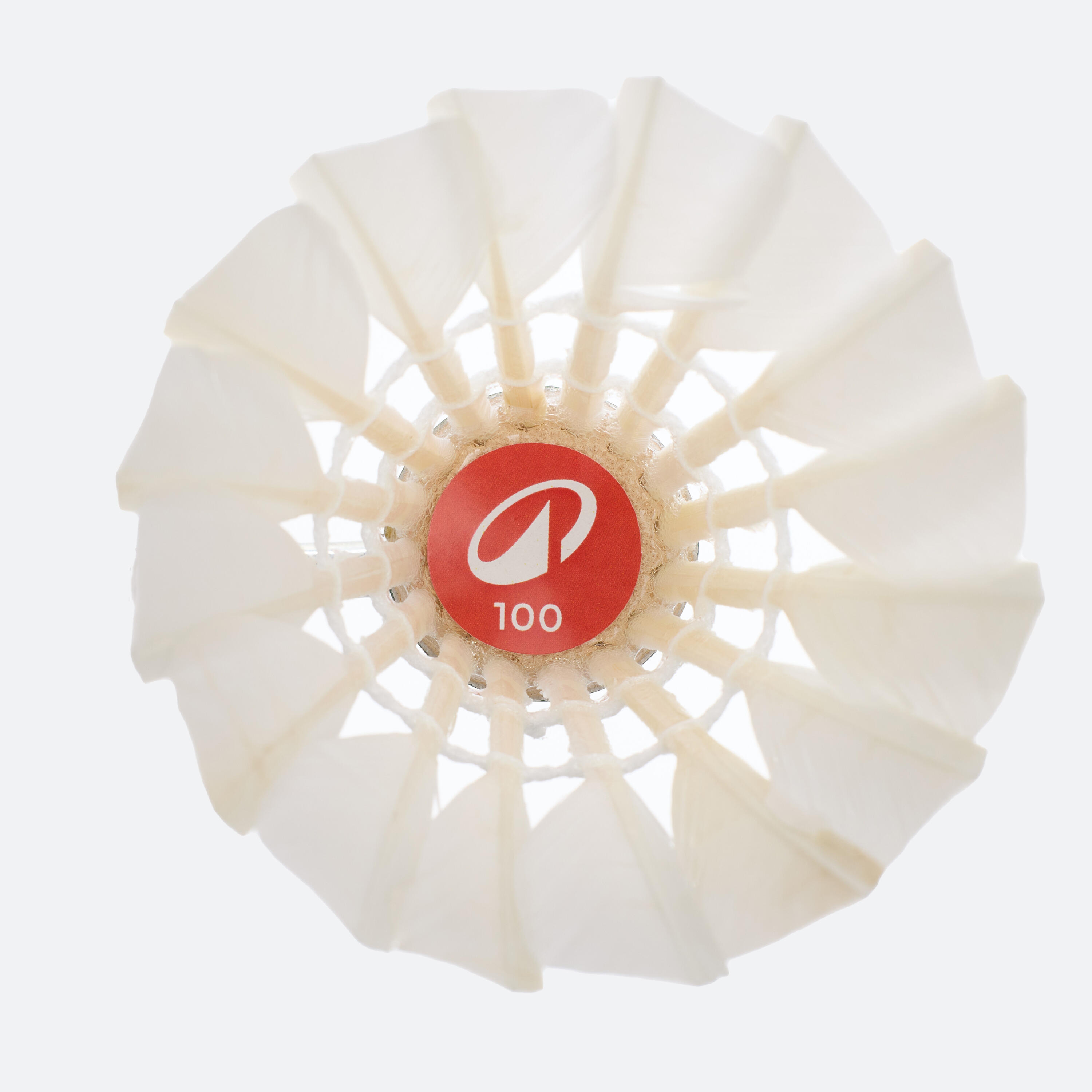 Lot de 12 volants de badminton plumes FSC 100 3/14