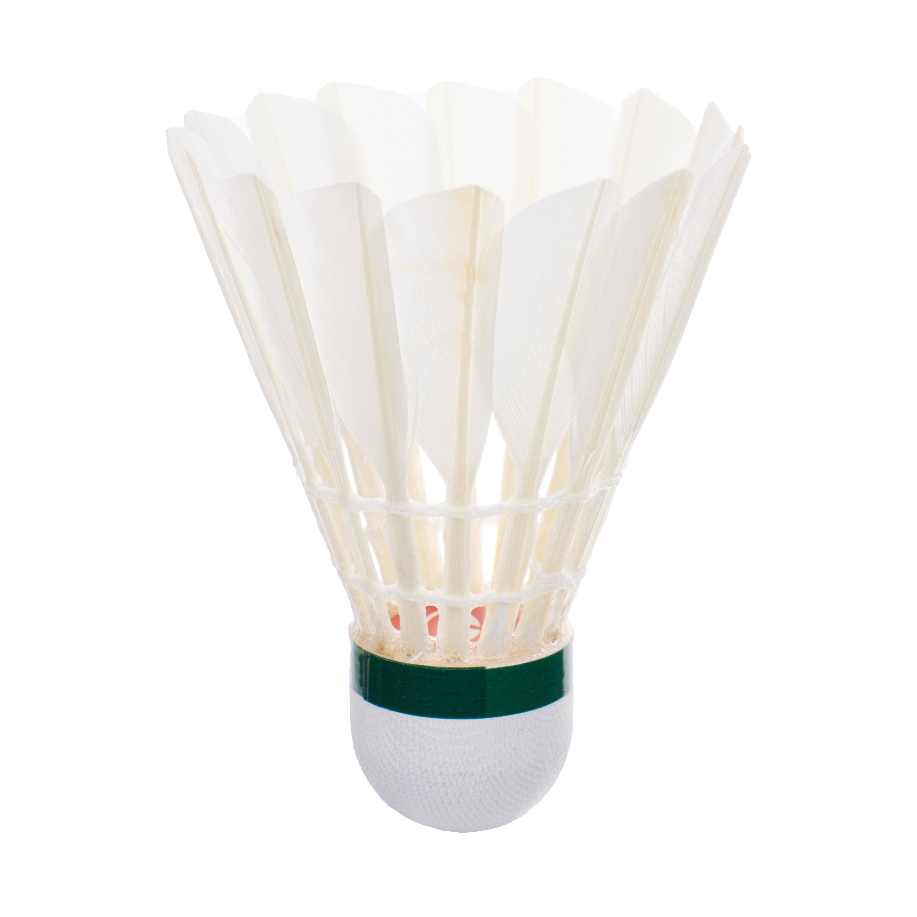 FEATHER SHUTTLECOCK FSC 100  x 12 -  2