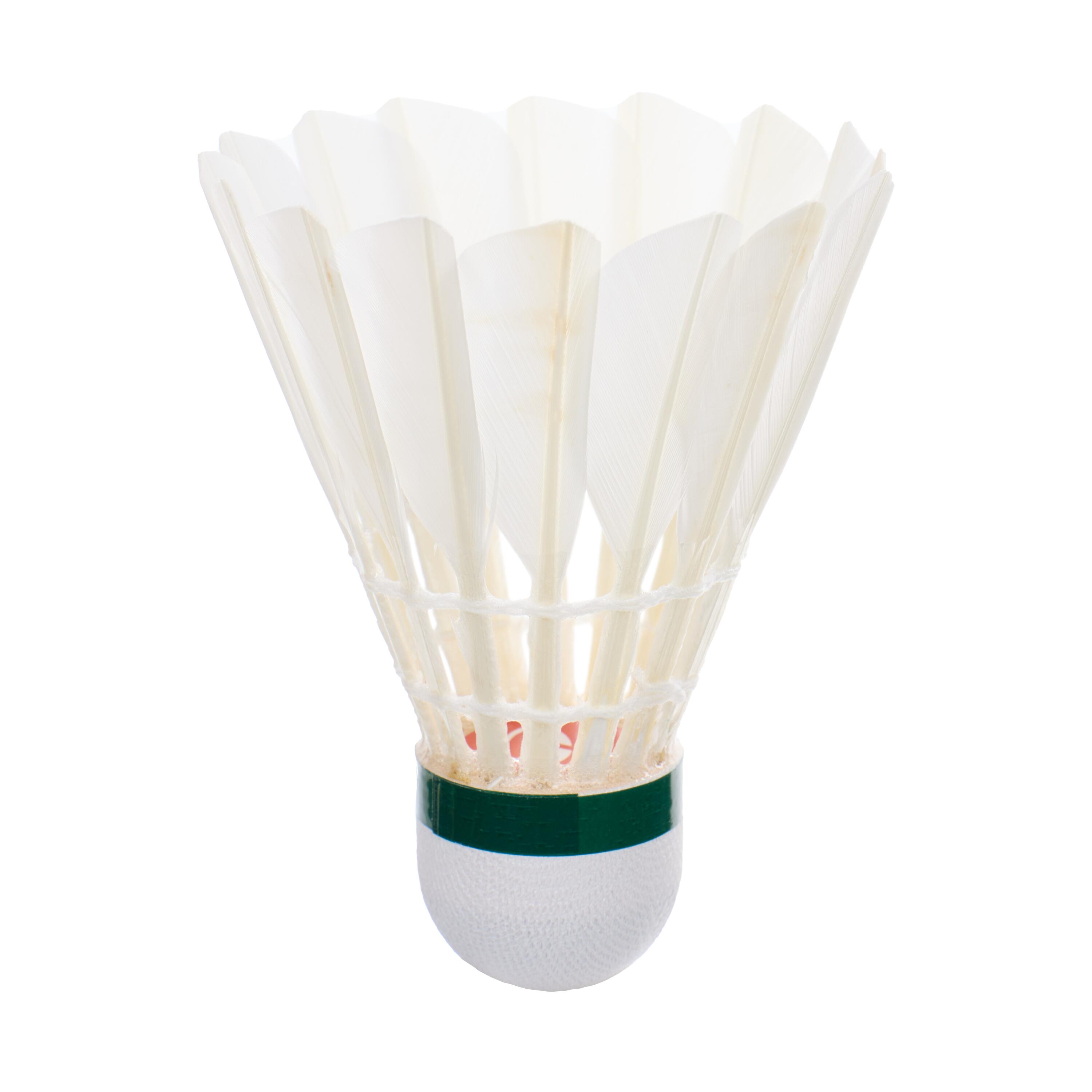 Lot de 12 volants de badminton plumes FSC 100 2/14
