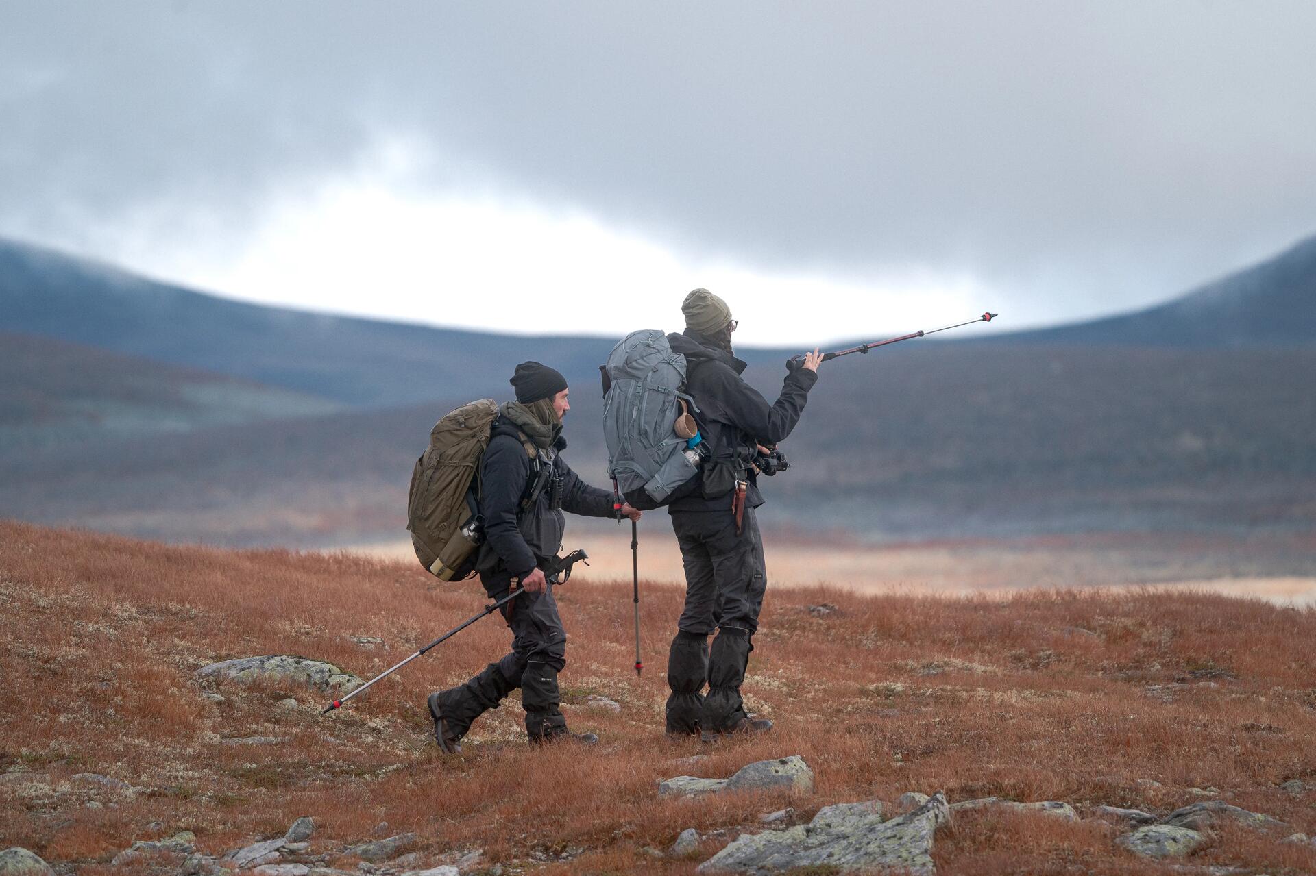 Hiking vs Trekking: Distinguishing the Differences with Decathlon