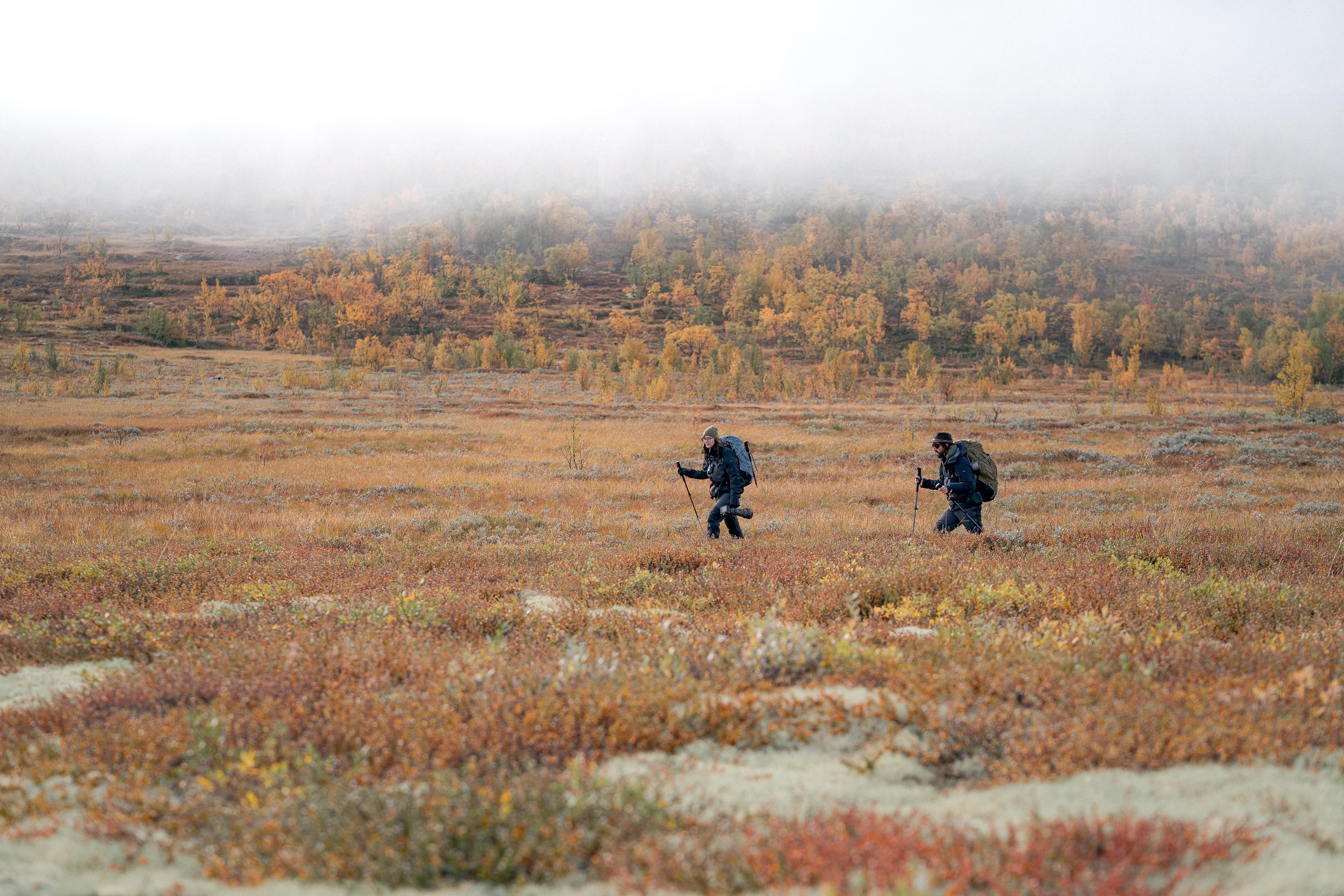 Women’s Trekking Backpack 45 +10 L, MT 500 Air - SIMOND