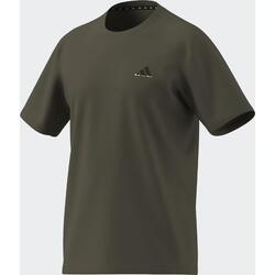T-shirt de fitness homme Aeroready, ,kaki