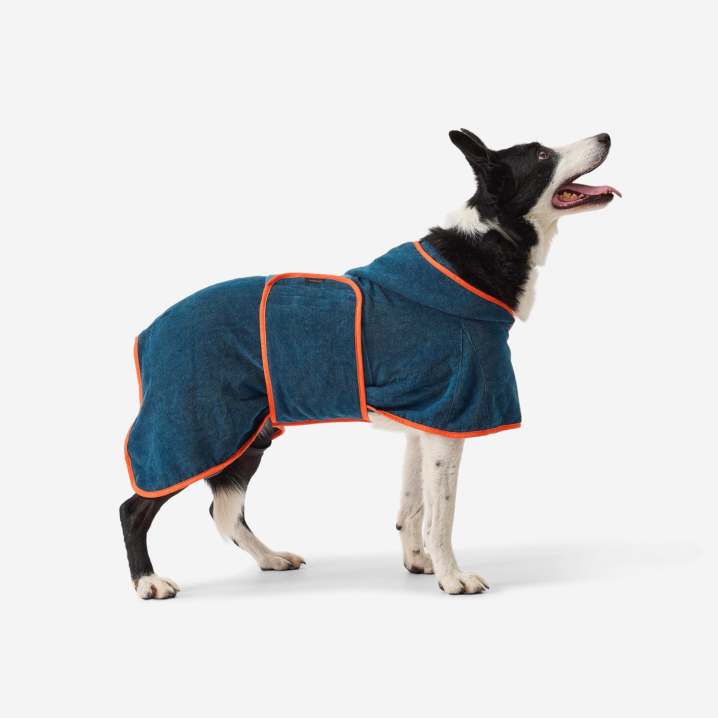 Gebraucht - Hundebademantel / Hundeweste blau 2/8