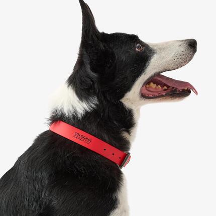 Collier pour chien 500 vert fluo