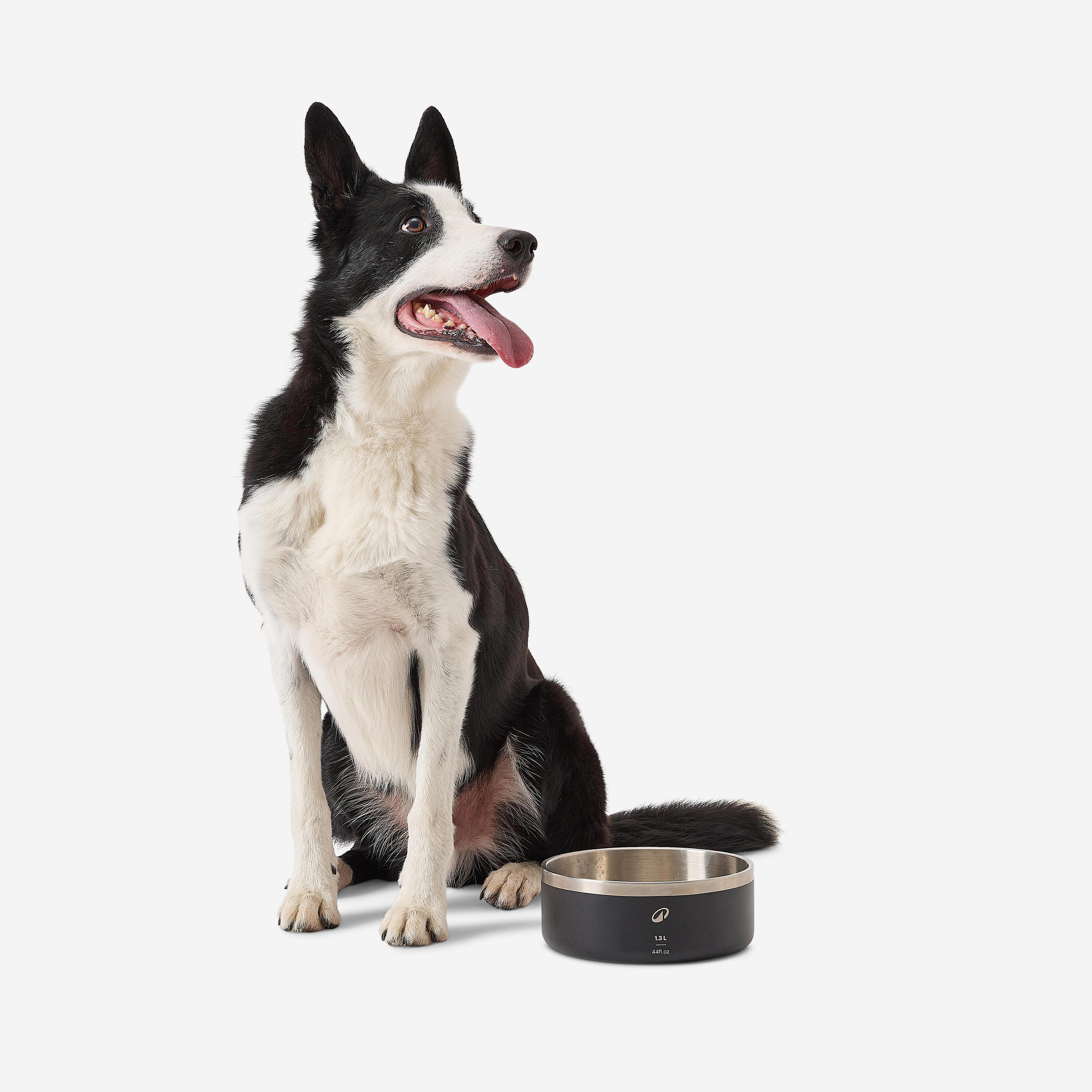 Gamelle pour chien de 1,3 L antidérapante 6/7