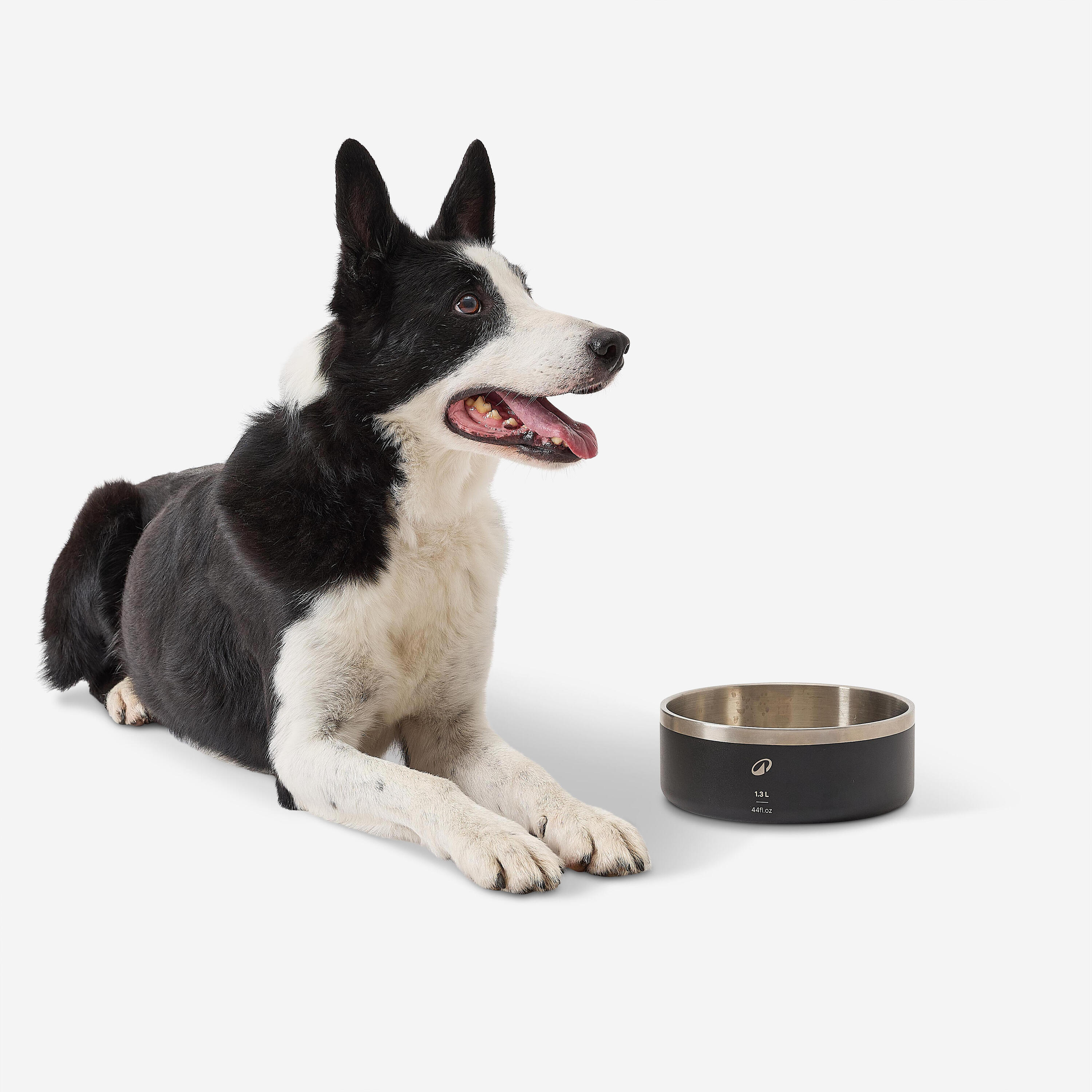 Gamelle pour chien de 1,3 L antidérapante 7/7