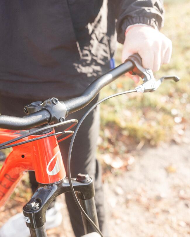 Nahaufnahme von oben auf den Lenker und das Steuerrohr eines leuchtend roten Mountainbikes. Eine Person hält das Fahrrad am Sattel und am rechten Griff fest, während im Hintergrund ein Waldweg im weichen Sonnenlicht erkennbar ist.