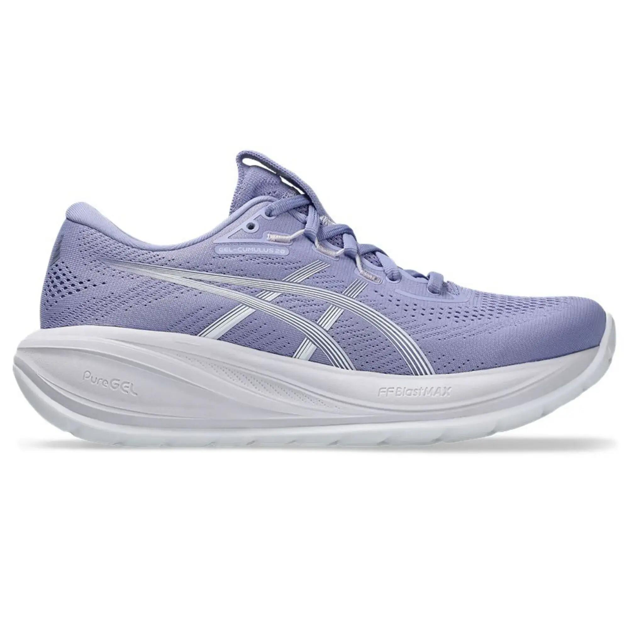 ASICS picture
