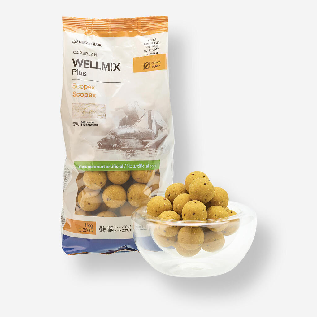 Boile za ribolov šarana s ukusom skopeksa Wellmix Instant 25 mm 1 kg 