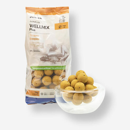 Bouillettes pêche de la carpe Wellmix Plus 25mm 1kg Scopex