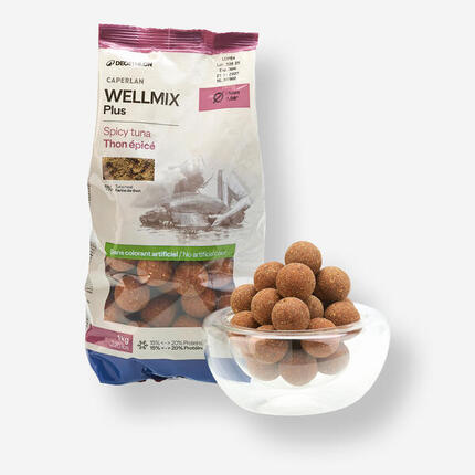 Bouillettes pêche de la carpe Wellmix Plus 25mm 1kg Scopex