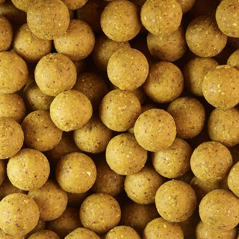 Boilies Pescuit la Crap Wellmix Instant 20mm 9,5kg Scopex