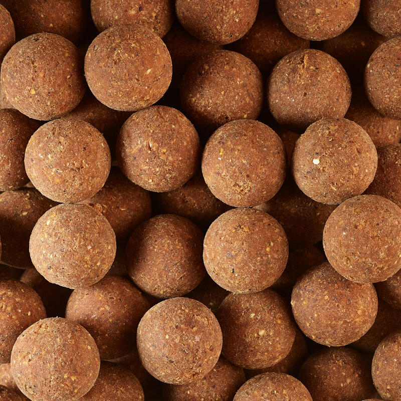 Boilies na kaprařinu Wellmix Plus 25 mm 1 kg Spicy Tuna