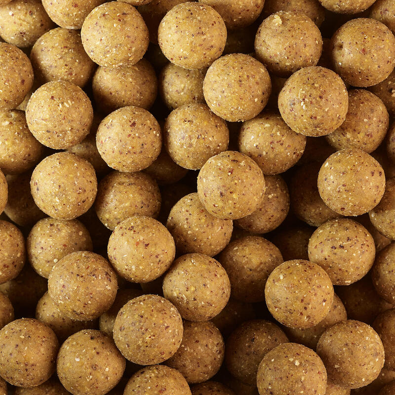 Boilies na kaprařinu Wellmix Instant 20 mm 1 kg Konopné semínko / tygří ořech