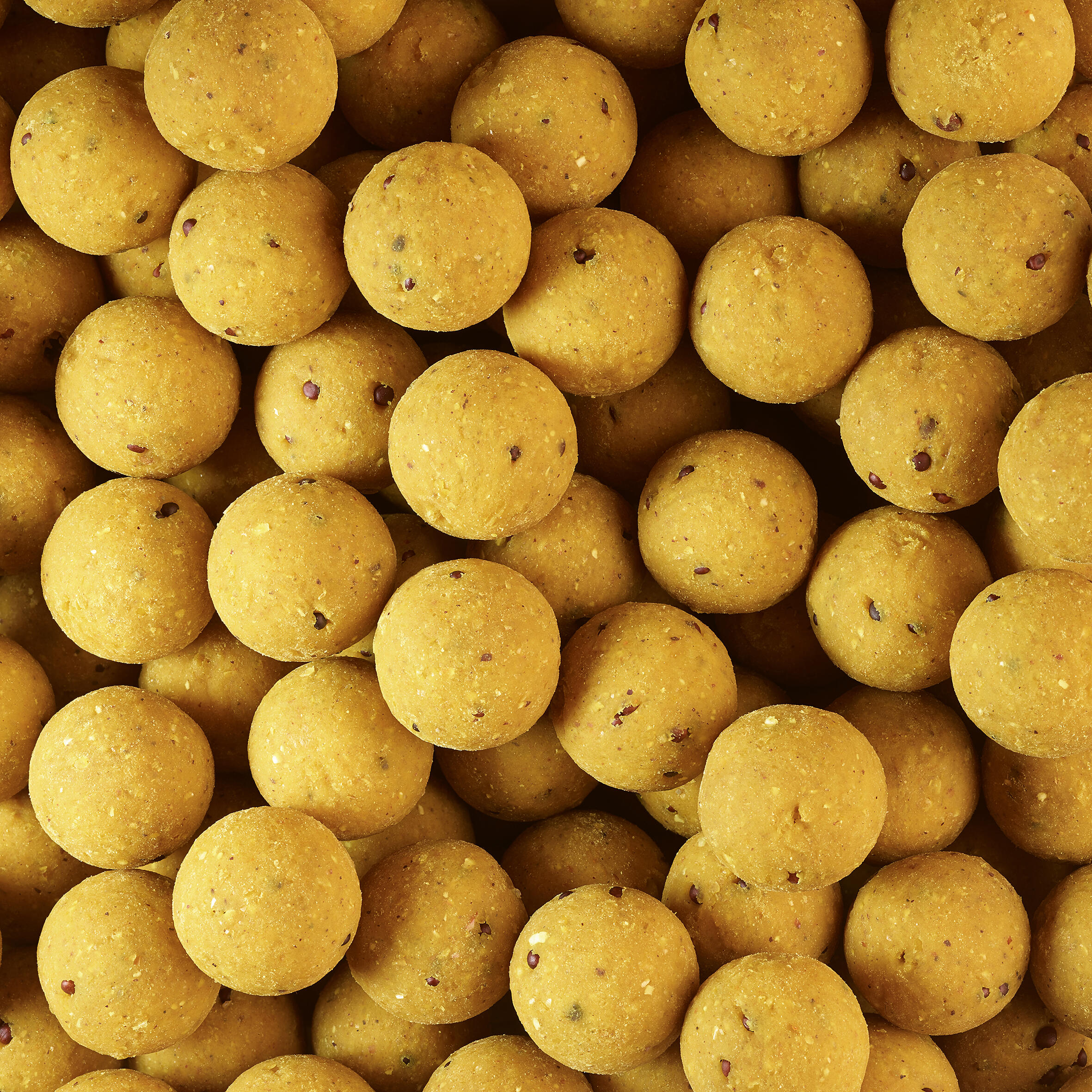 Boiles carp fishing WELLMIX PLUS 20 mm 1 kg scopex 4/11
