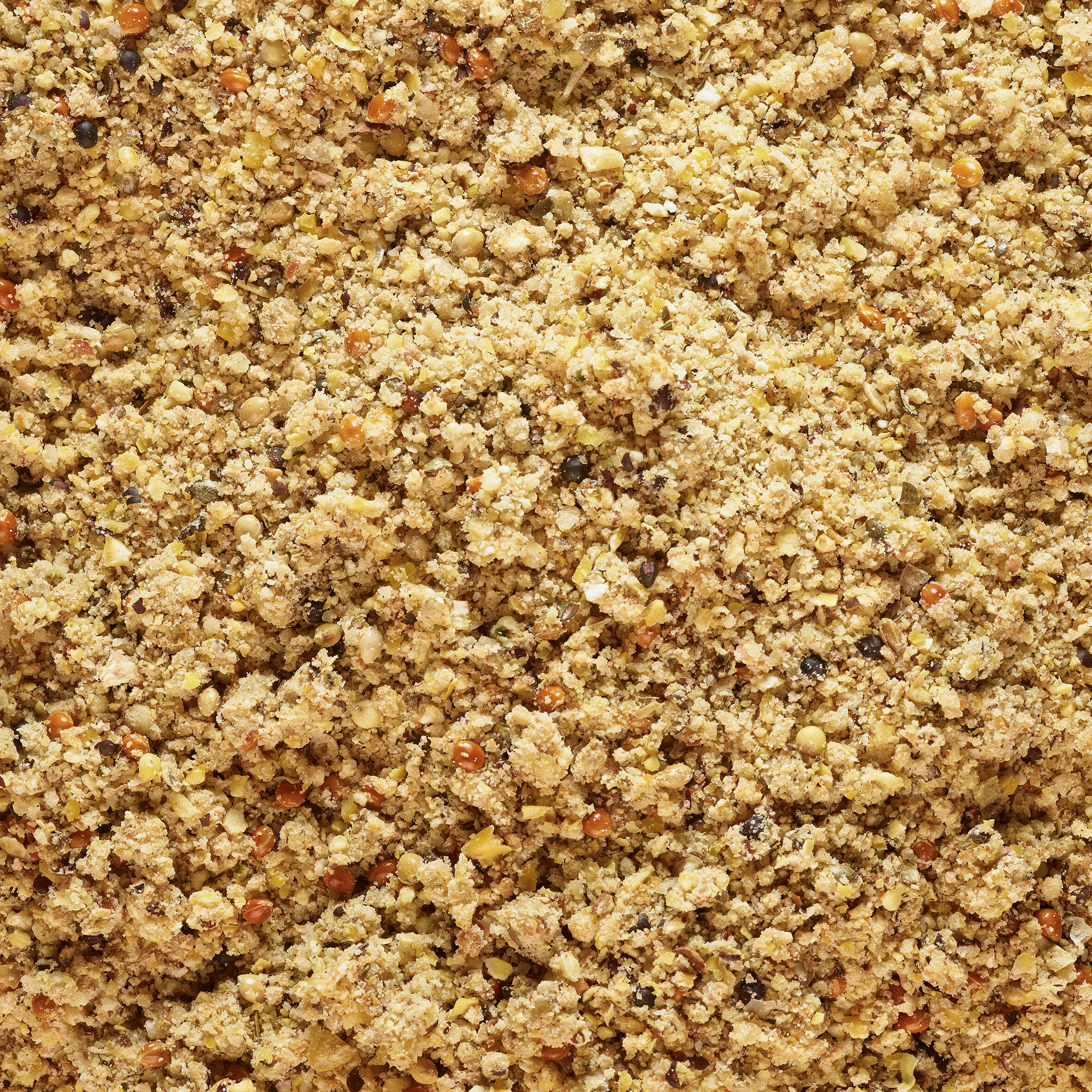 Pastura pesca GOOSTER SPECIAL carpa 1 kg 5/10