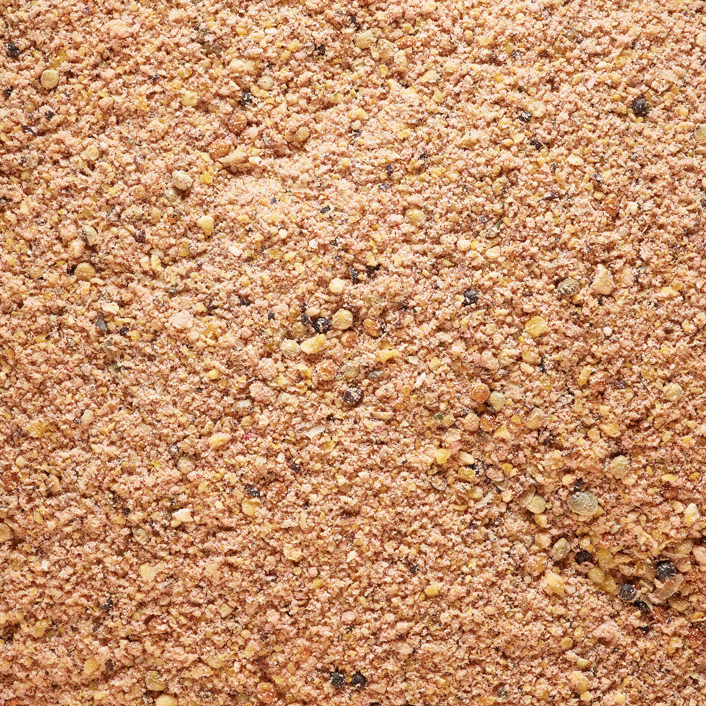 Amorce de pêche Gooster special carpe 1kg rouge 4/10