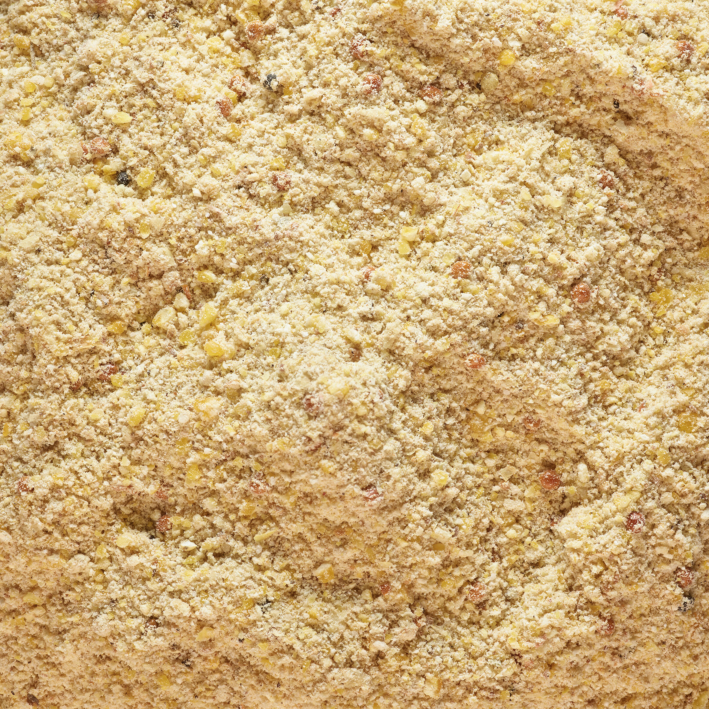 Pastura pesca GOOSTER CLASSIC pesci grossi 1 kg 4/10
