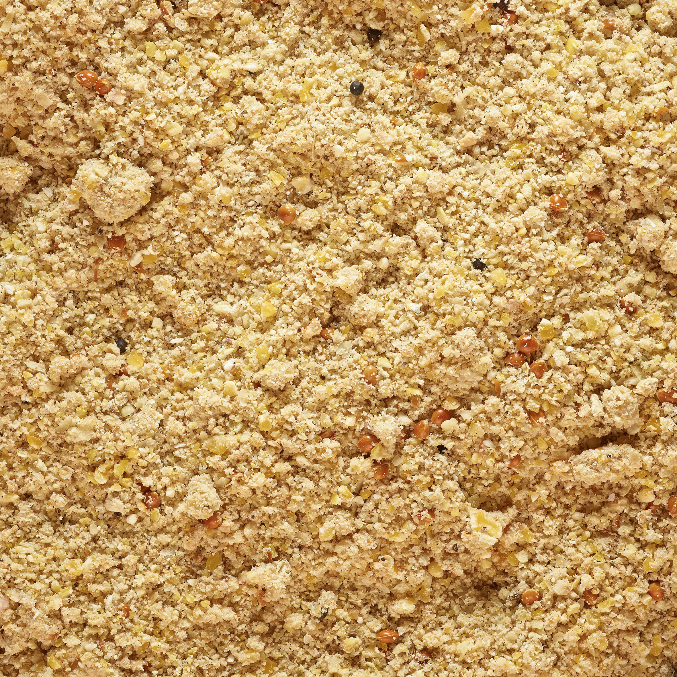Pastura pesca GOOSTER CLASSIC pesci grossi 1 kg 5/10