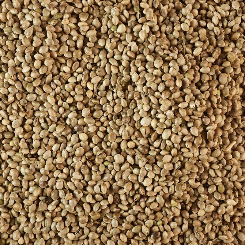 Semințe cânepă pentru pescuit staționar 0,7kg