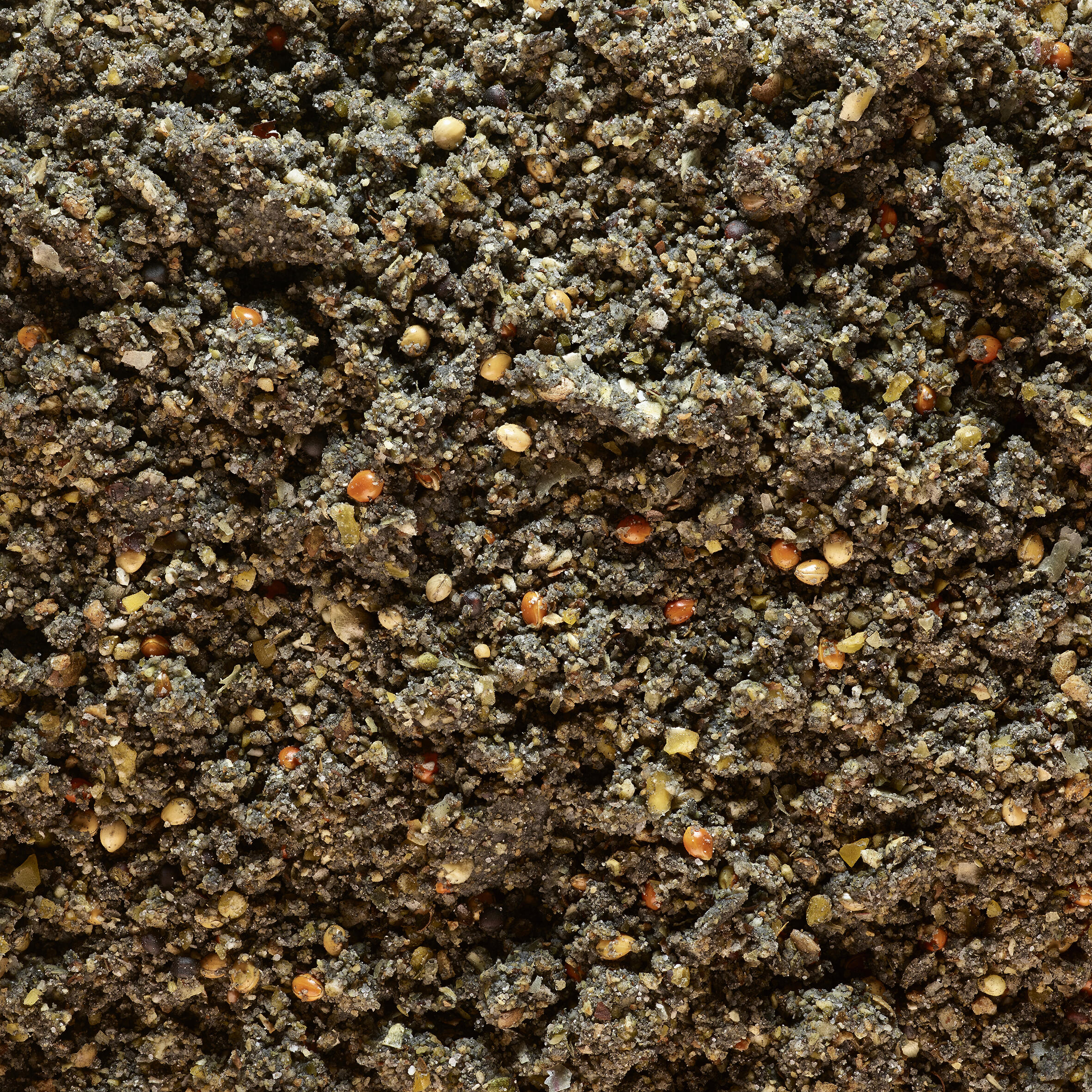 Amorce de pêche Gooster special carpe 1kg noire 5/5