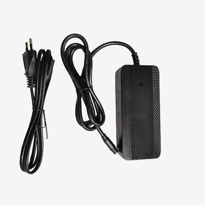 Caricatore batteria 36V bici a pedalata assistita E-EXPL100 100 LTD e MTB 140