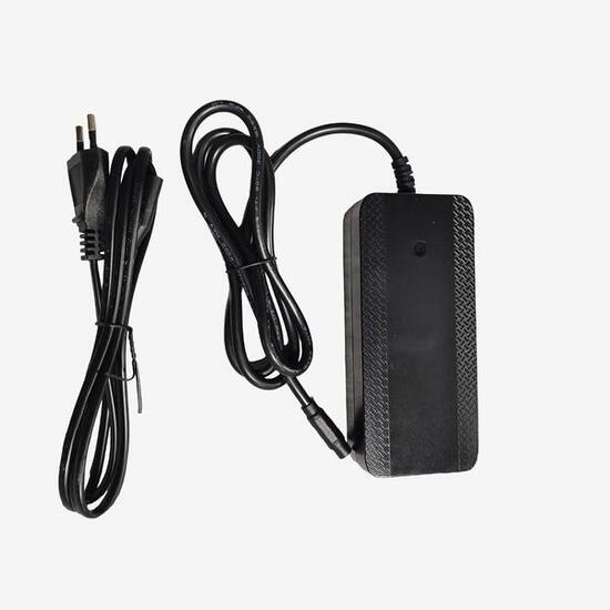 Caricatore batteria 36V bici a pedalata assistita E-EXPL100 100 LTD e MTB 140