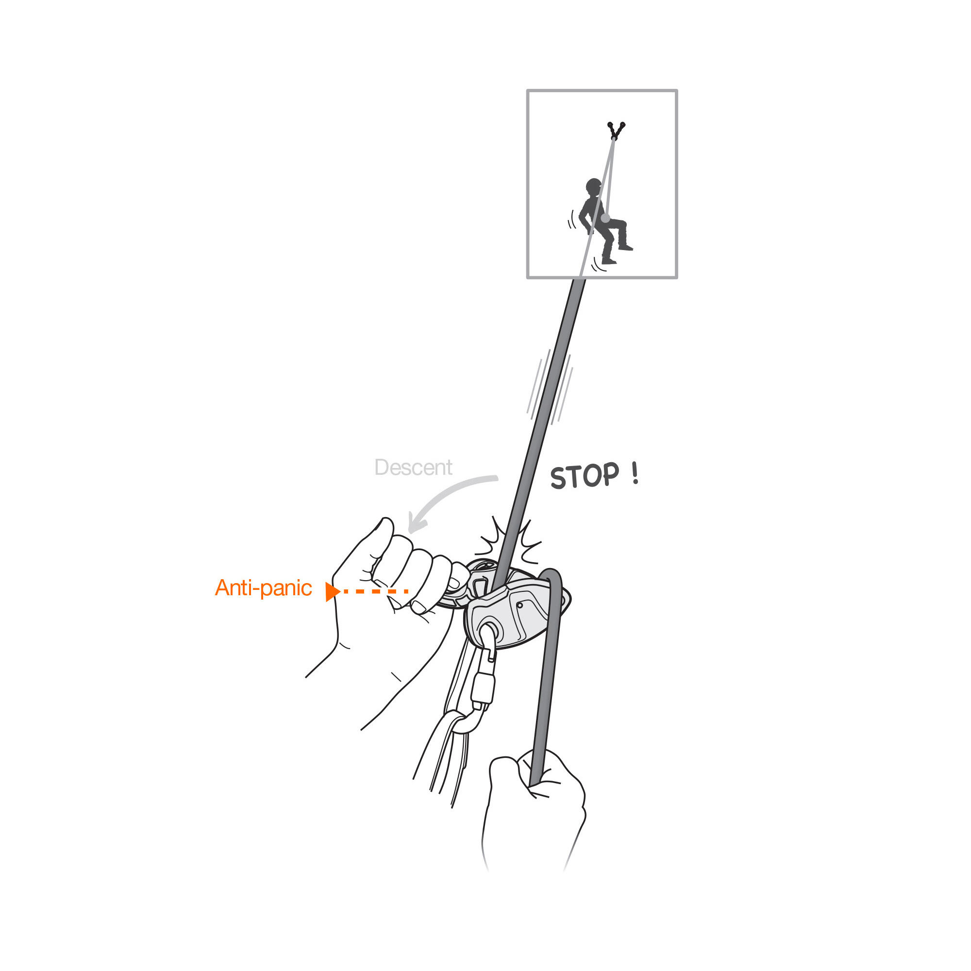 Système d'assurage grigri+ vert 5/5