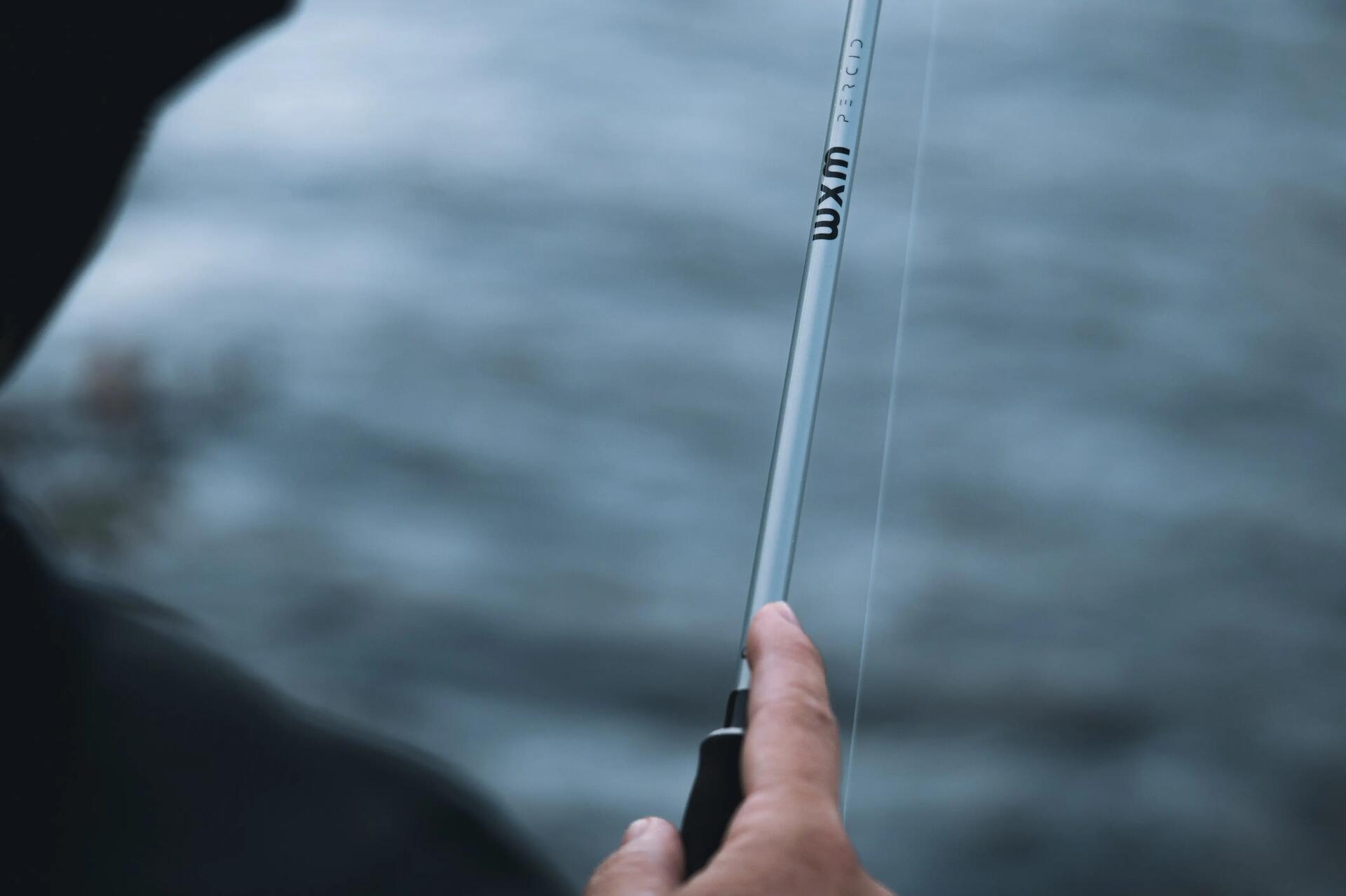 Canne à pêche l'arme absolu du pêcheur