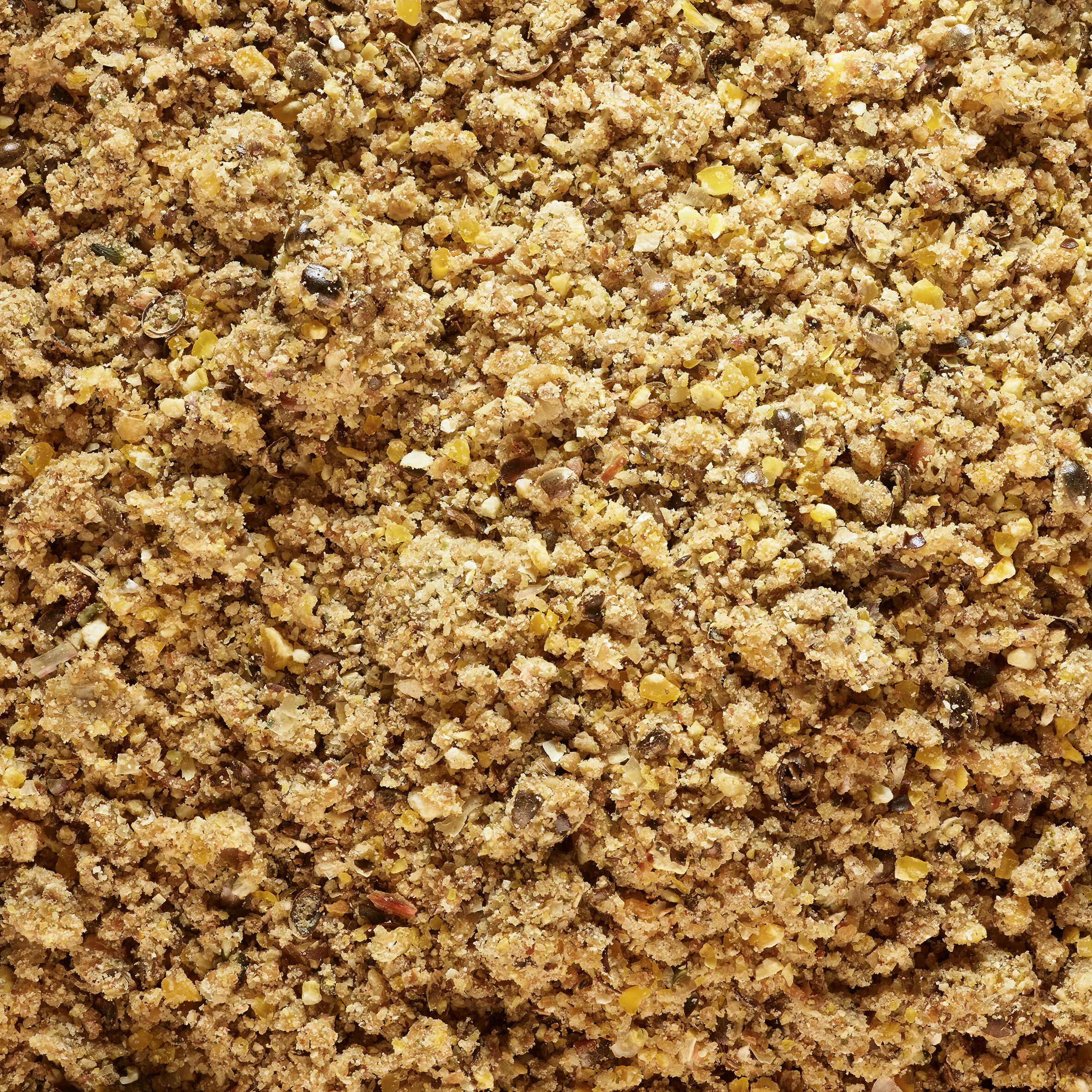Amorce de pêche Gooster classic carpe 1kg 5/10