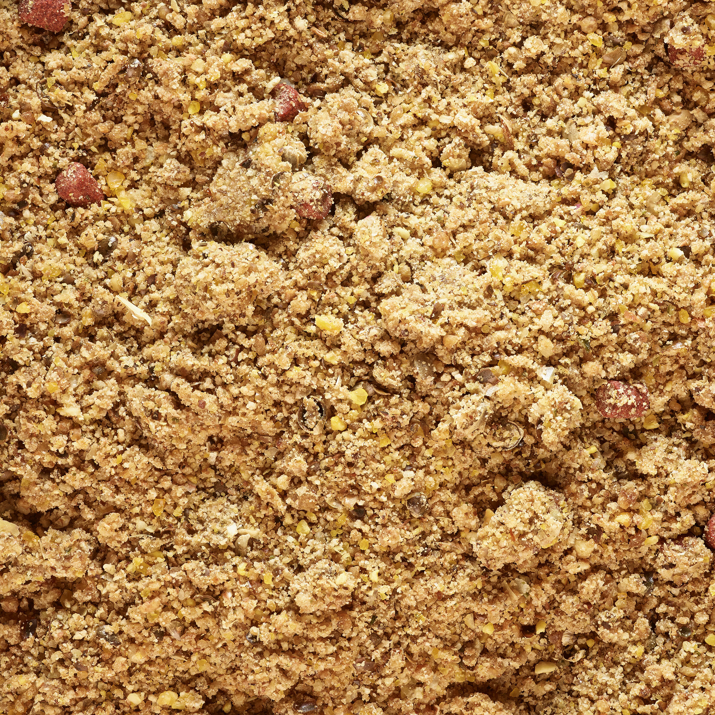 Amorce de pêche Gooster premium carpe 1kg 5/10