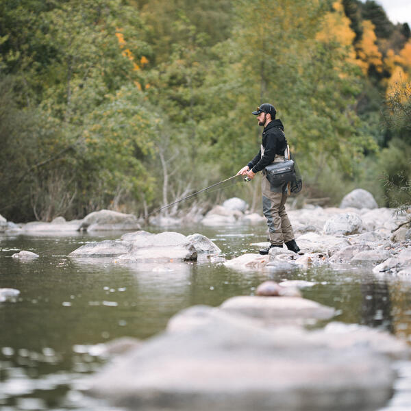 Ribič ribari v plitvi, skalnati reki.