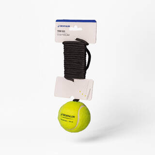 TRB 100 CRICKET TRAINING BALL