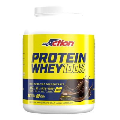 WHEY PROTEIN 12Kg CIOCCOLATO ProAction
