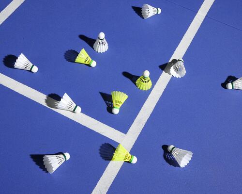 Everything about badminton