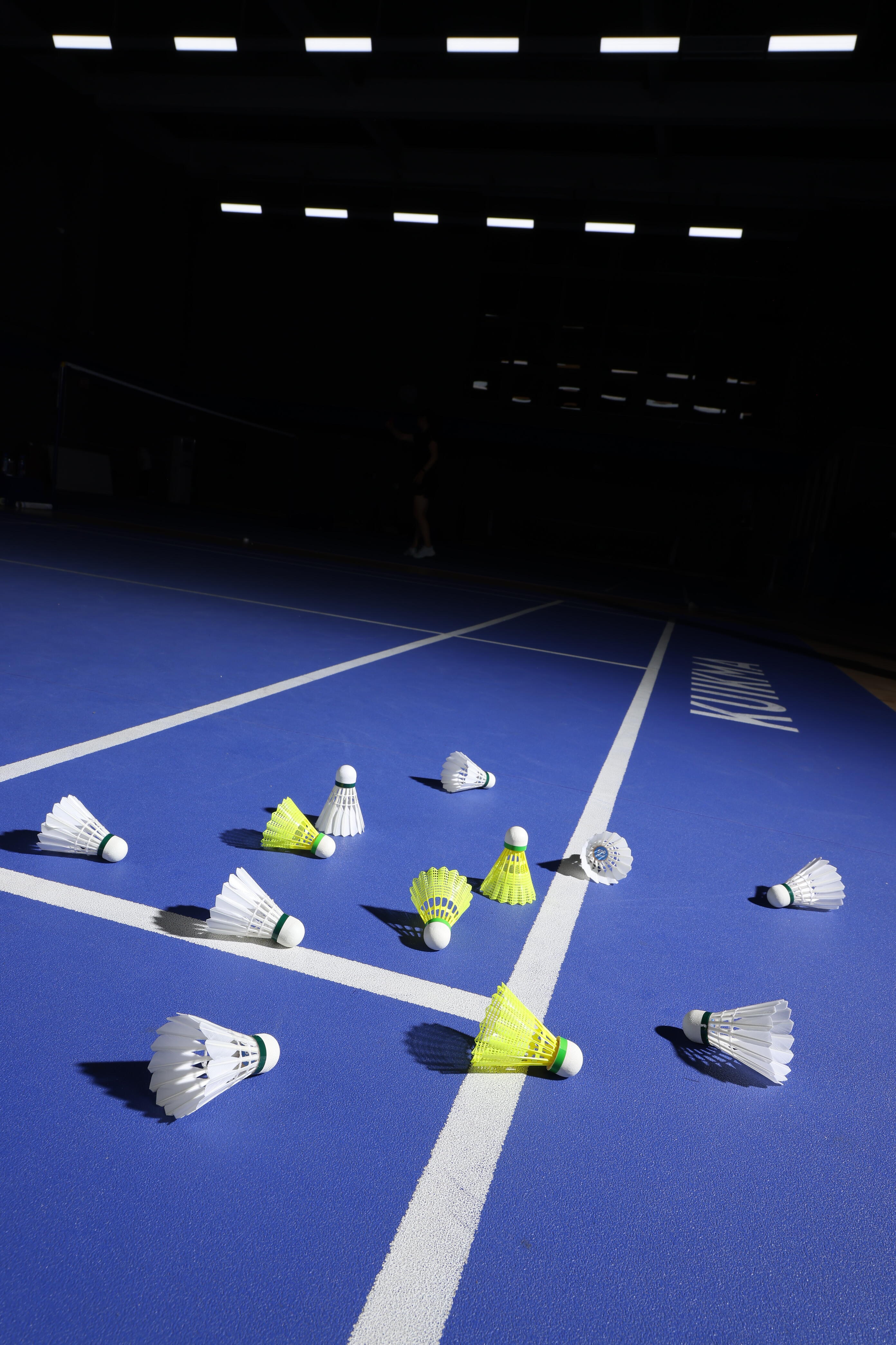 Badminton shuttles