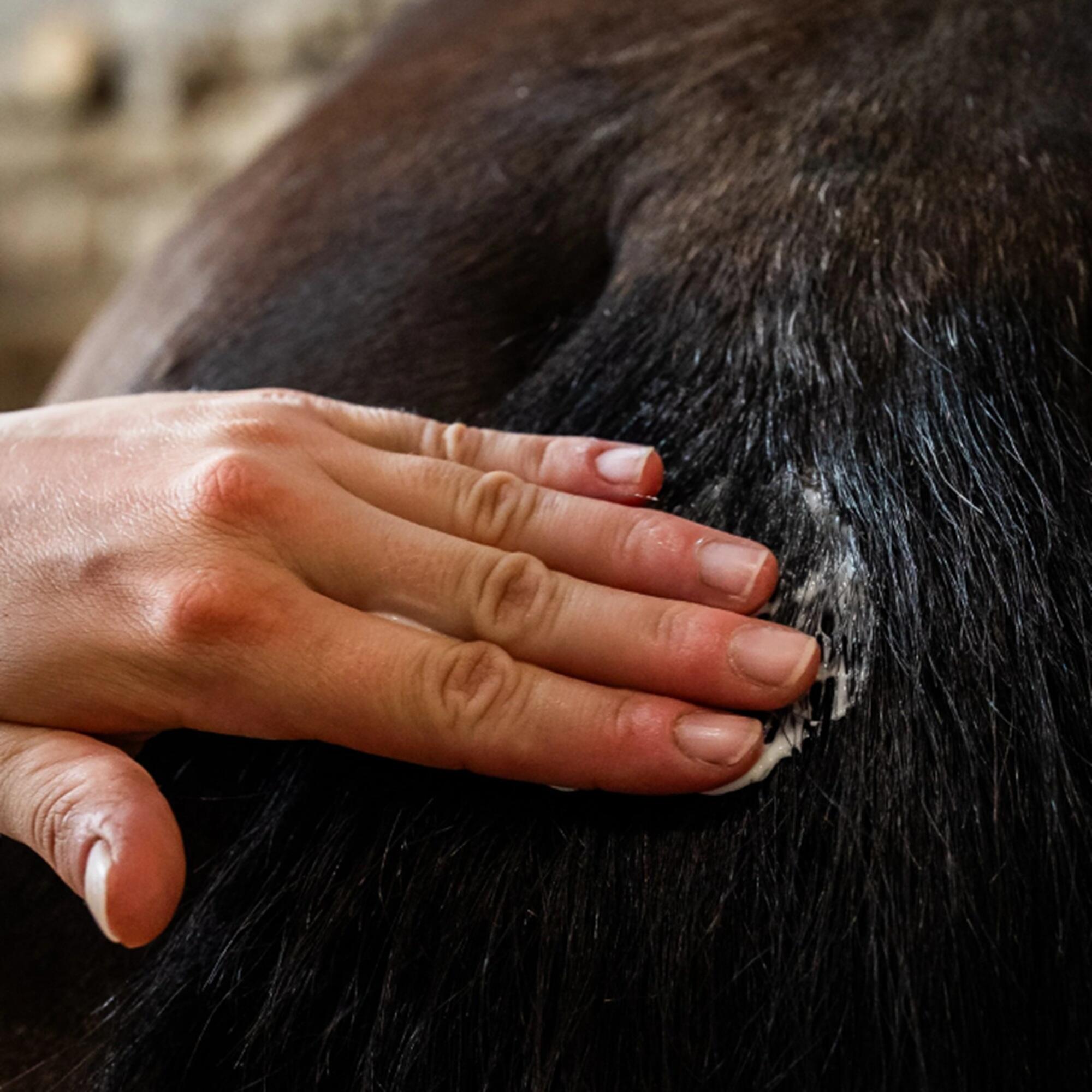 GEL ANTI DEMANGEAISONS - CHEVAL - CURA NATURALE 2/2