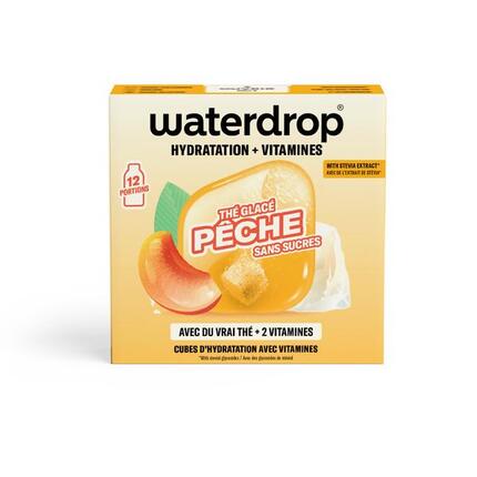 Cubes à diluer thé glacé pêche, Microdrink 12x500ml