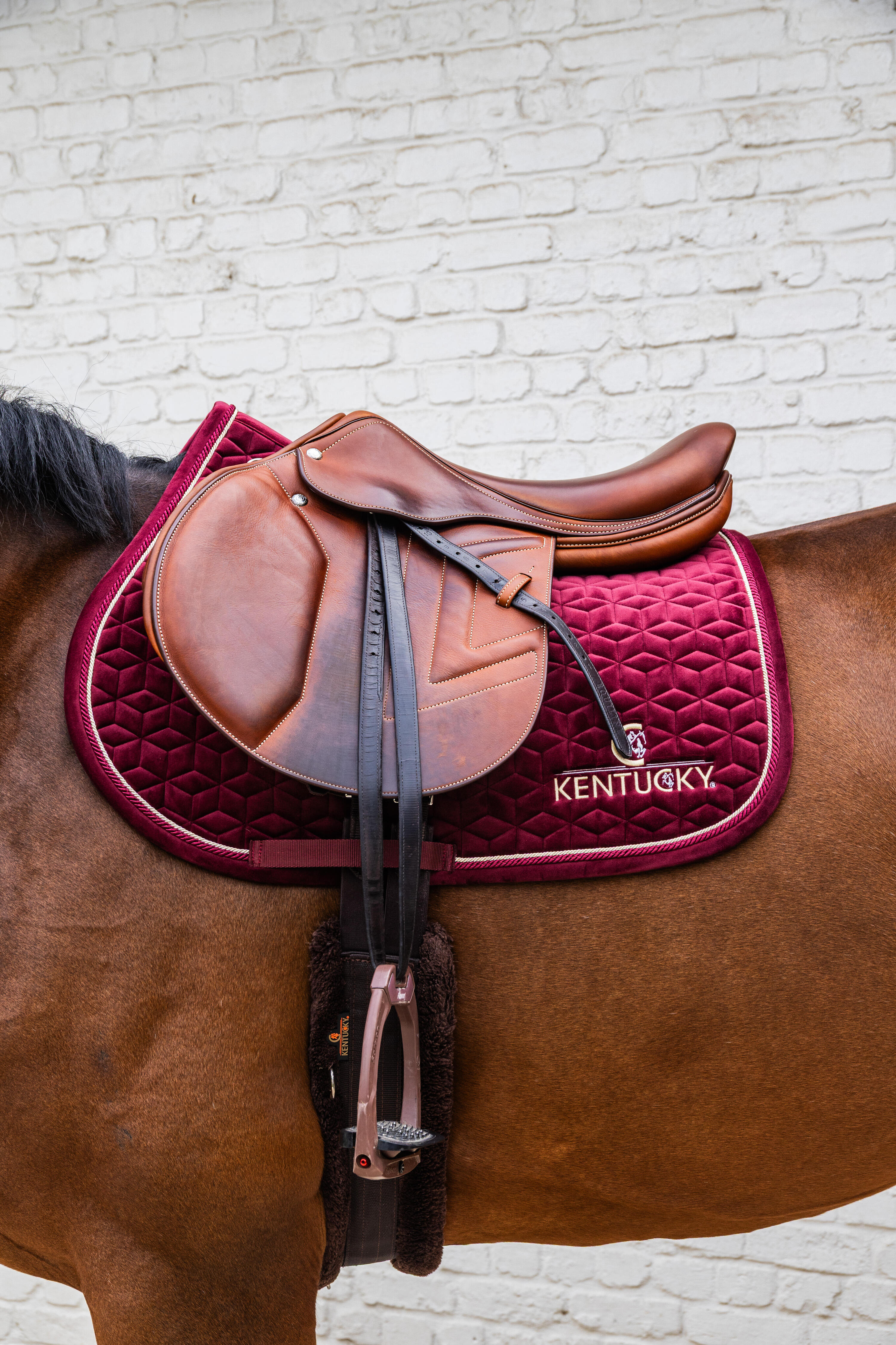 Suadouro de Equitação - Kentucky Velvet Bordeaux 2/4