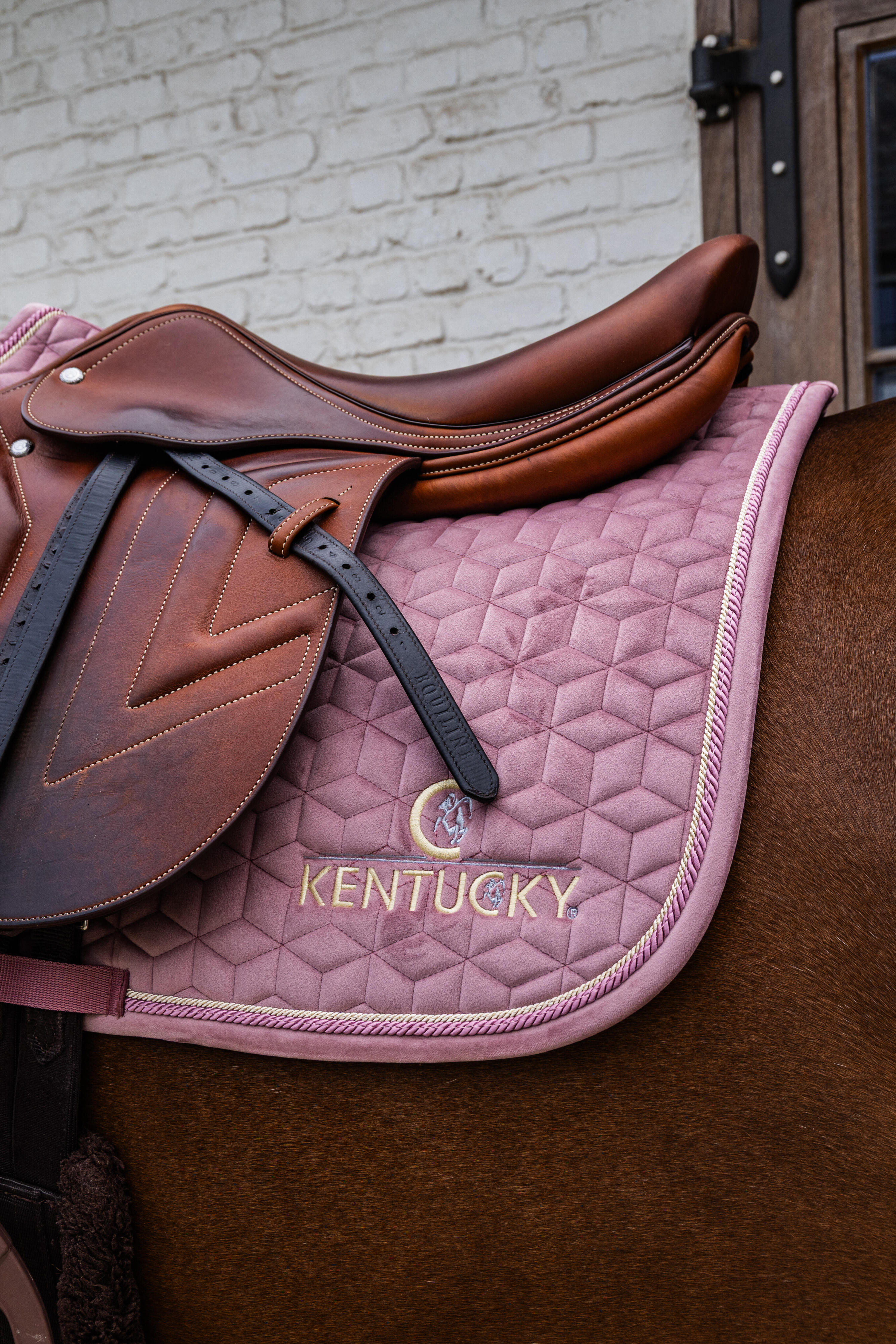 Suadouro Equitação - Kentucky Velvet Rosa 5/6