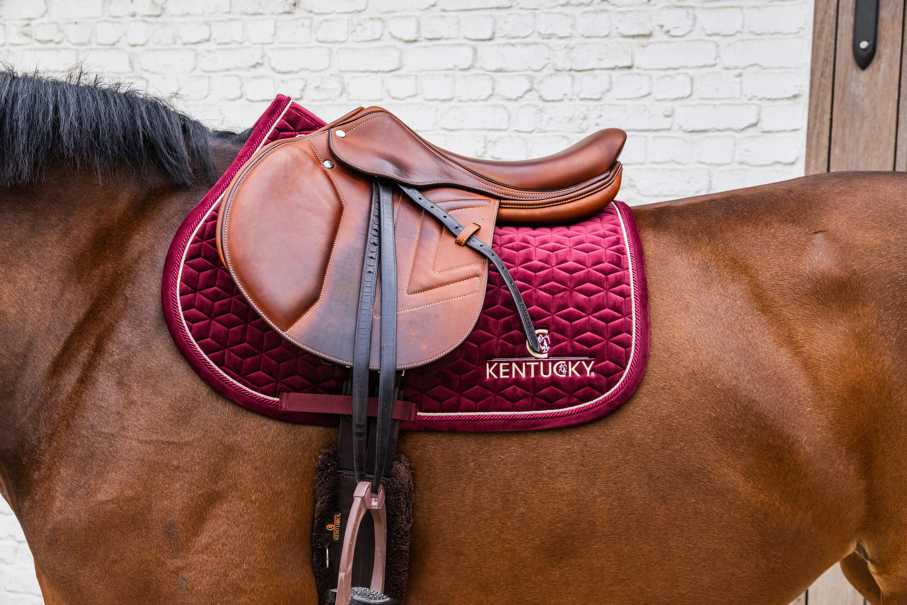 Suadouro de Equitação - Kentucky Velvet Bordeaux 3/4