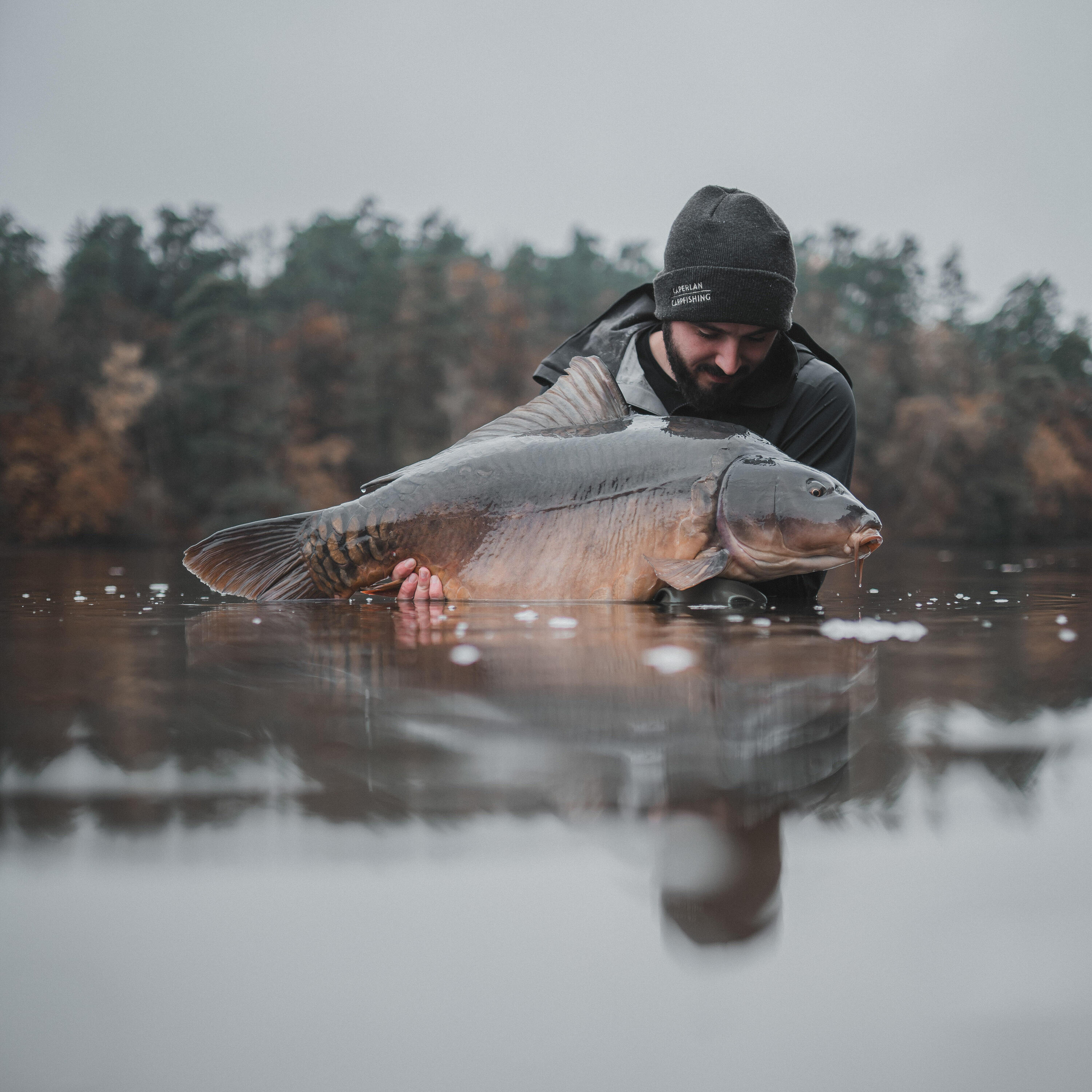 Boiles carp fishing WELLMIX PLUS 20 mm 1 kg scopex 10/11