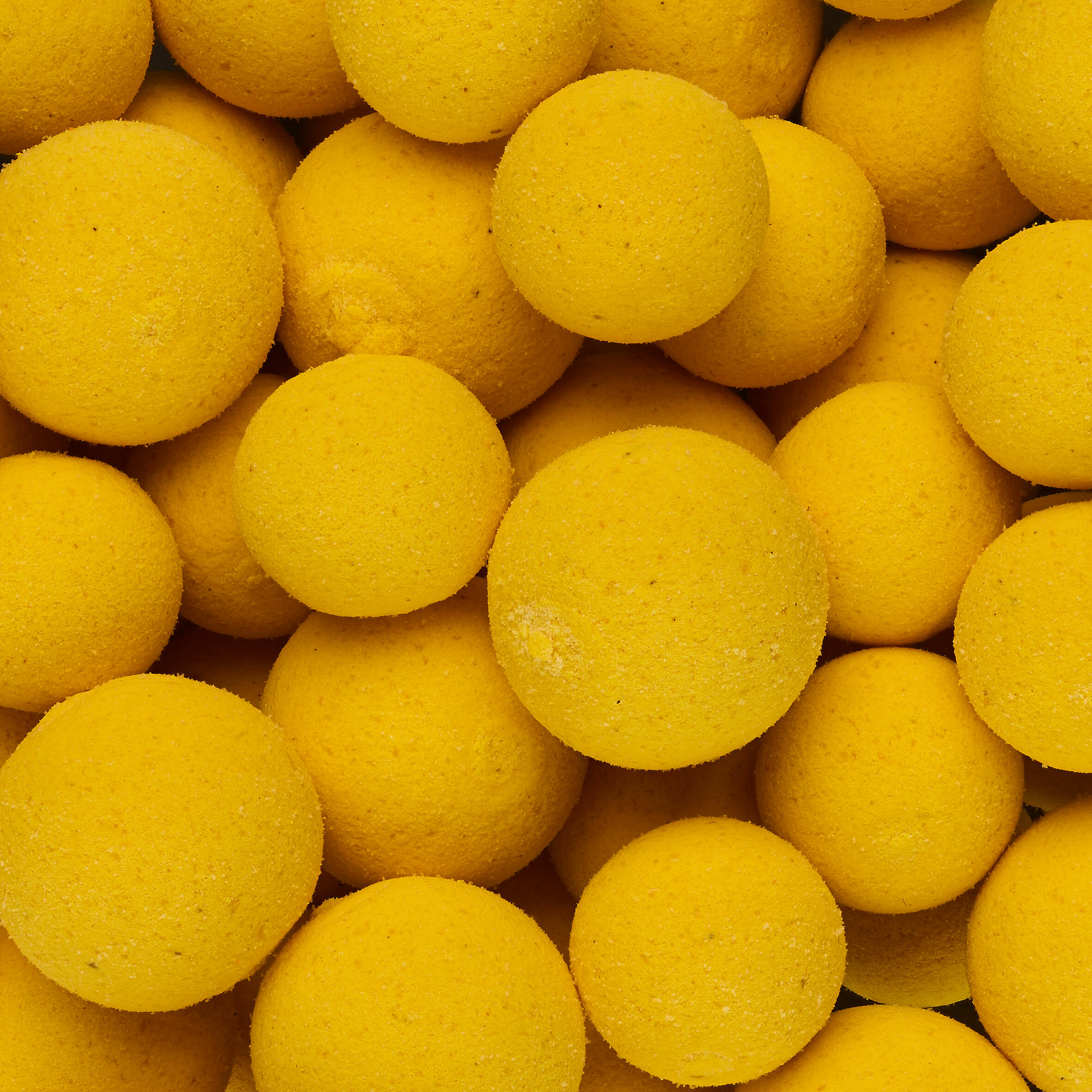 Boilies na kaprařinu plovoucí Pop Ups 12–14 mm Konopné semínko / tygří ořech 3/3