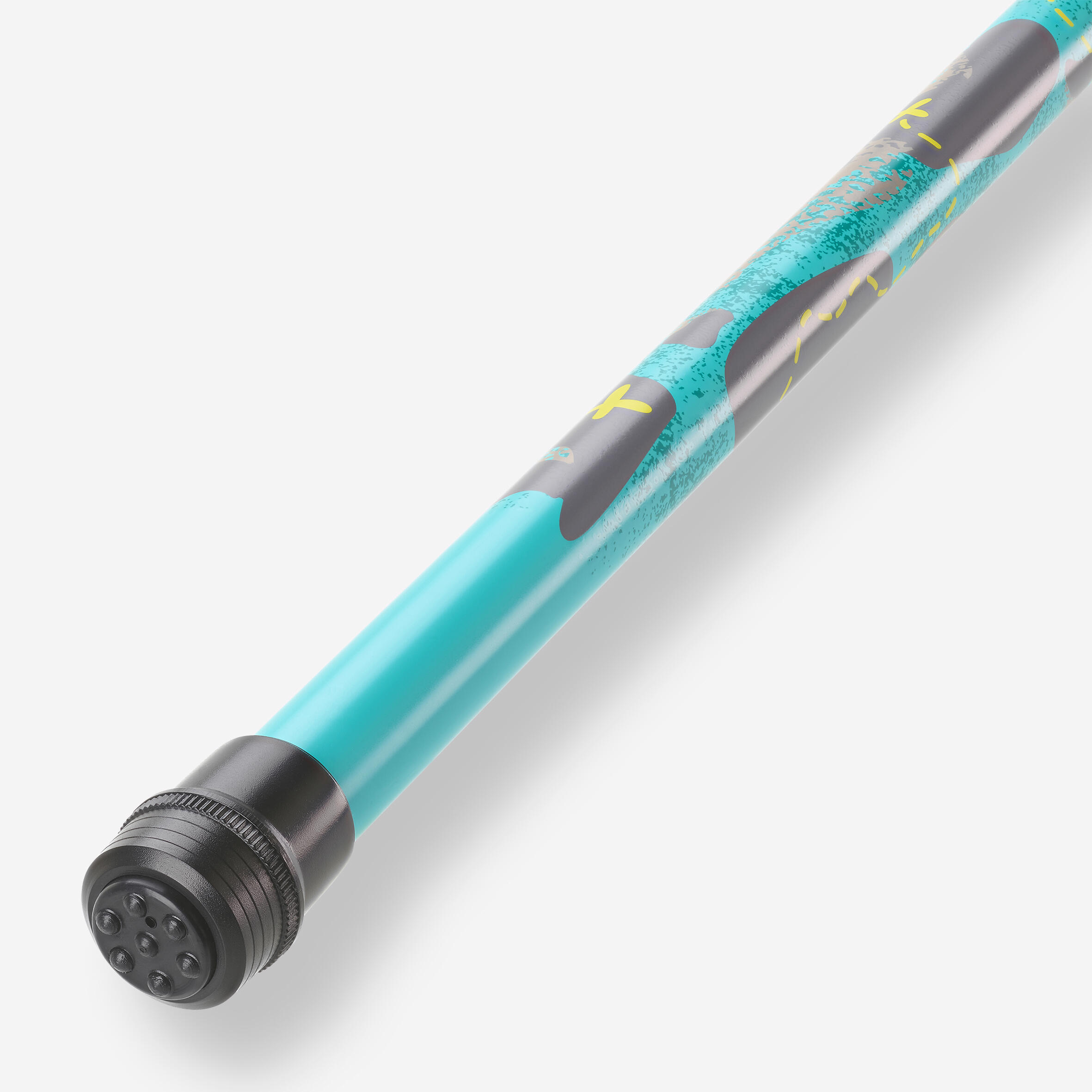 SKIKHN Hengelset voor kinderen, kinderhengel, starterset met vismolen en aas, draagbare kinderhengelset, complete visaccessoireset met draagtas, telescopische hengel voor kinderen (blauw