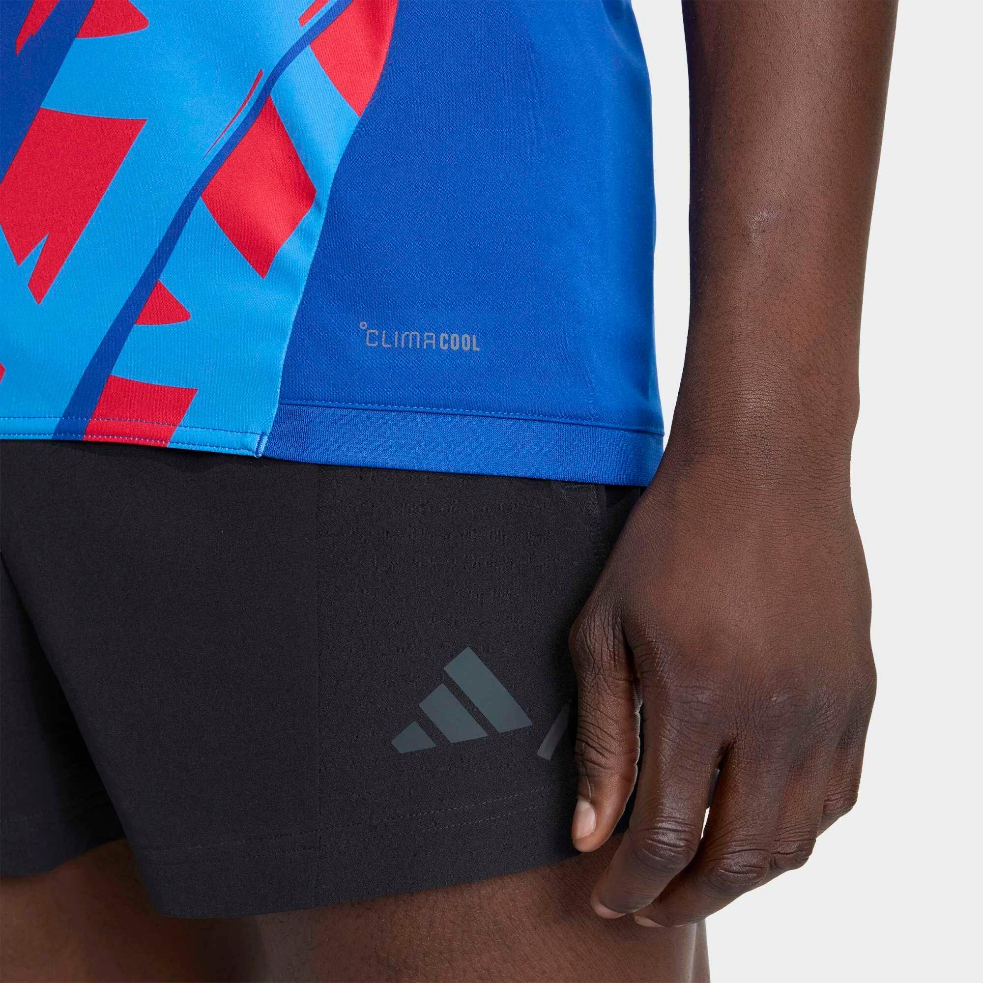 Maillot d'entraînement de handball Homme - Equipe de France 2026 bleu 5/6