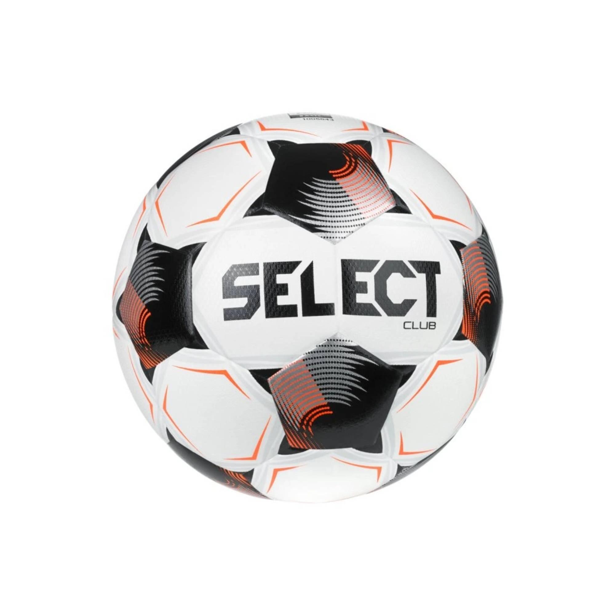 SELECT picture