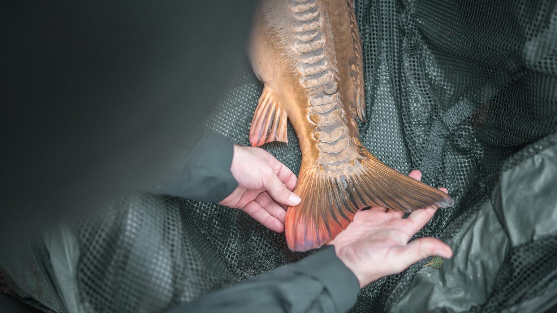 Pêche sur glace au Québec : où pratiquer cette activité en hiver?