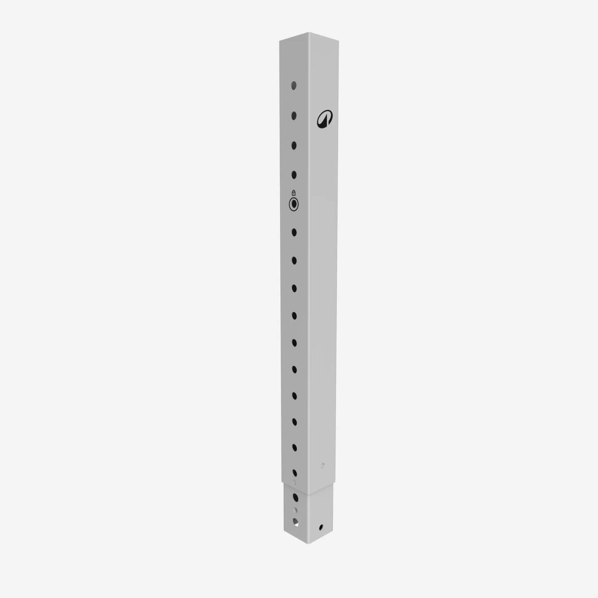 Soporte Superior Recambio Rack Sentadillas 300 kg Pro 2/4